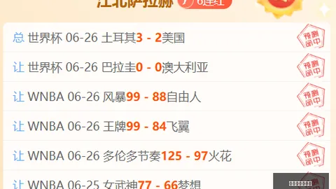 世界杯买球下注 125407 14